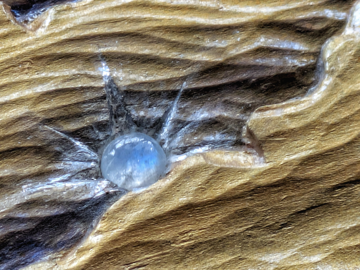 Conversation with Smaug - Available