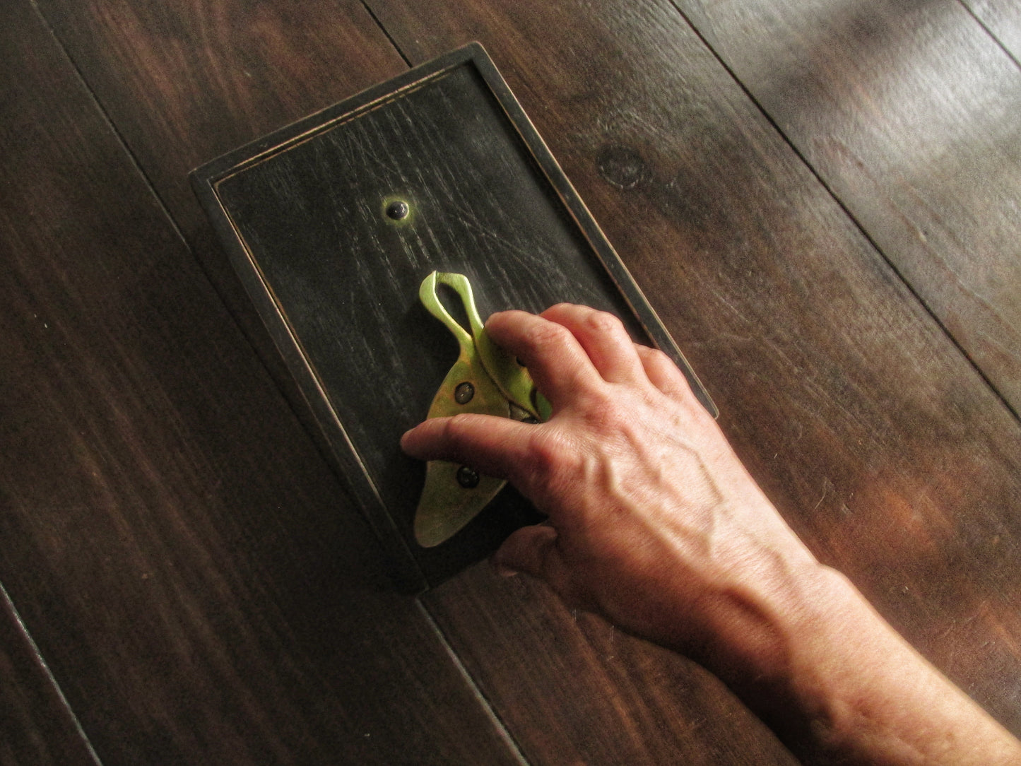 Luna Moth Box