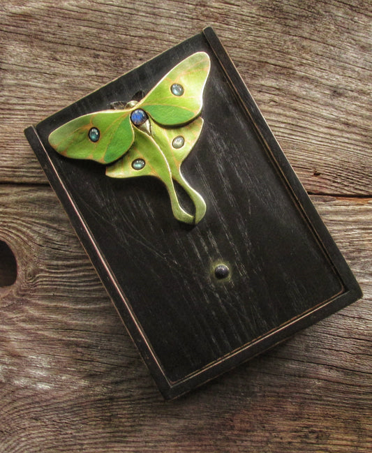 Luna Moth Box