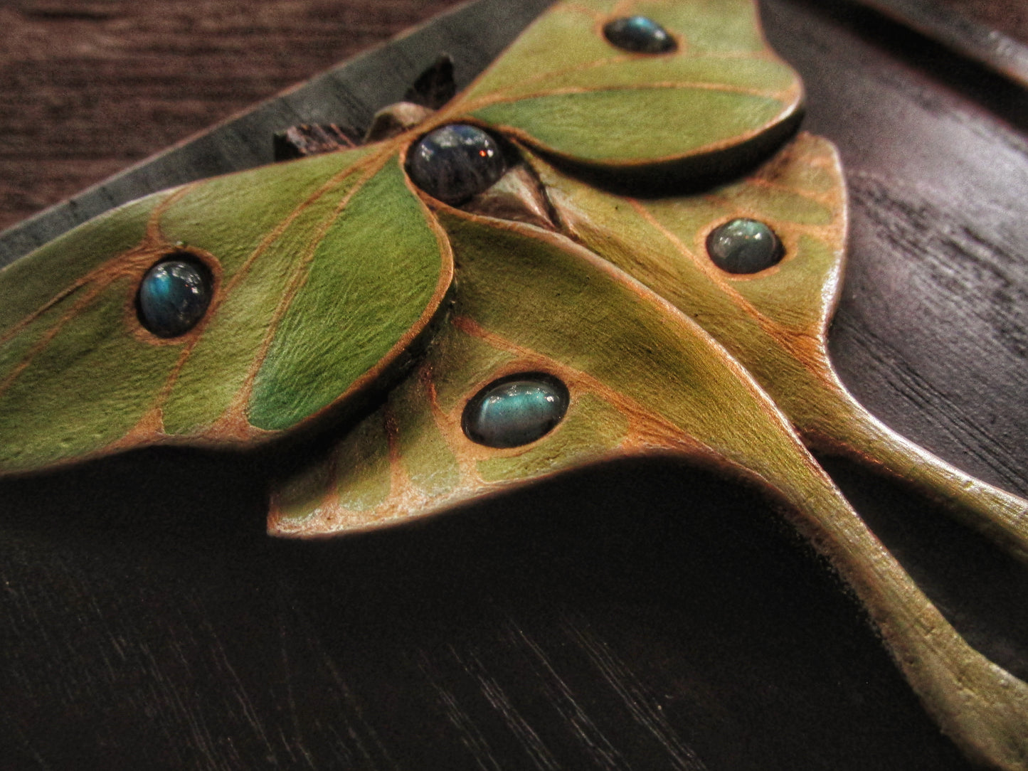 Luna Moth Box