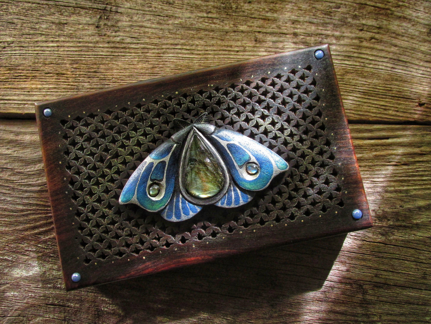 Blue Moon Moth