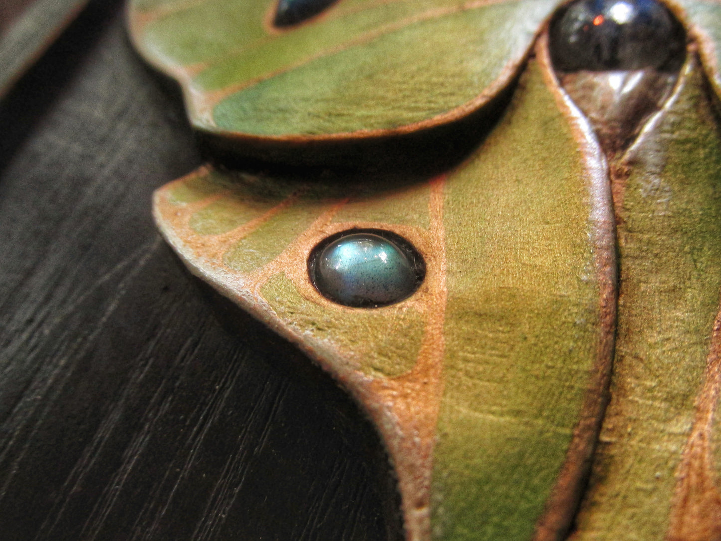 Luna Moth Box