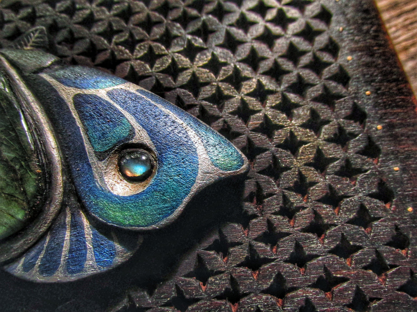 Blue Moon Moth